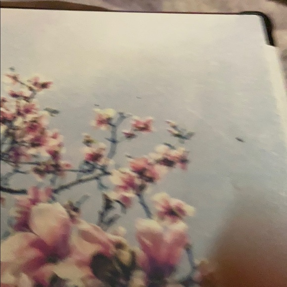 Meet your Posher, Jacque - Picture 1 of 1